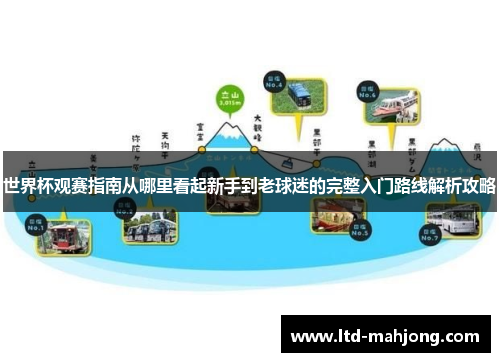 世界杯观赛指南从哪里看起新手到老球迷的完整入门路线解析攻略
