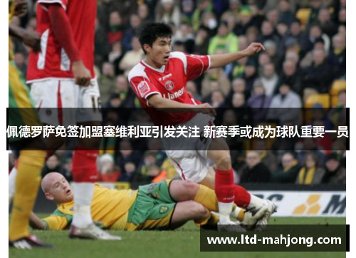 佩德罗萨免签加盟塞维利亚引发关注 新赛季或成为球队重要一员 佩德罗萨免签加盟塞维利亚引发关注 新赛季或成为球队重要一员