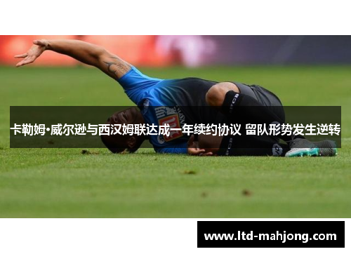 卡勒姆·威尔逊与西汉姆联达成一年续约协议 留队形势发生逆转