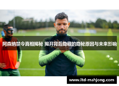 阿森纳禁令真相揭秘 揭开背后隐藏的隐秘原因与未来影响 阿森纳禁令真相揭秘 揭开背后隐藏的隐秘原因与未来影响